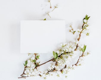 Spring Plum Blossom Styled Stock Photo Compatible with Canva and Photoshop for Social Media Use