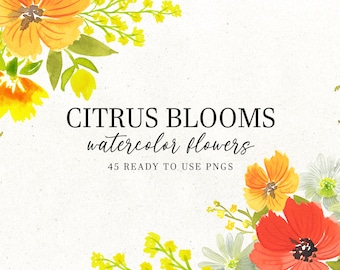 Citrus aquarel bloemen clipart | PNG-bloemen, randen (digitale download)