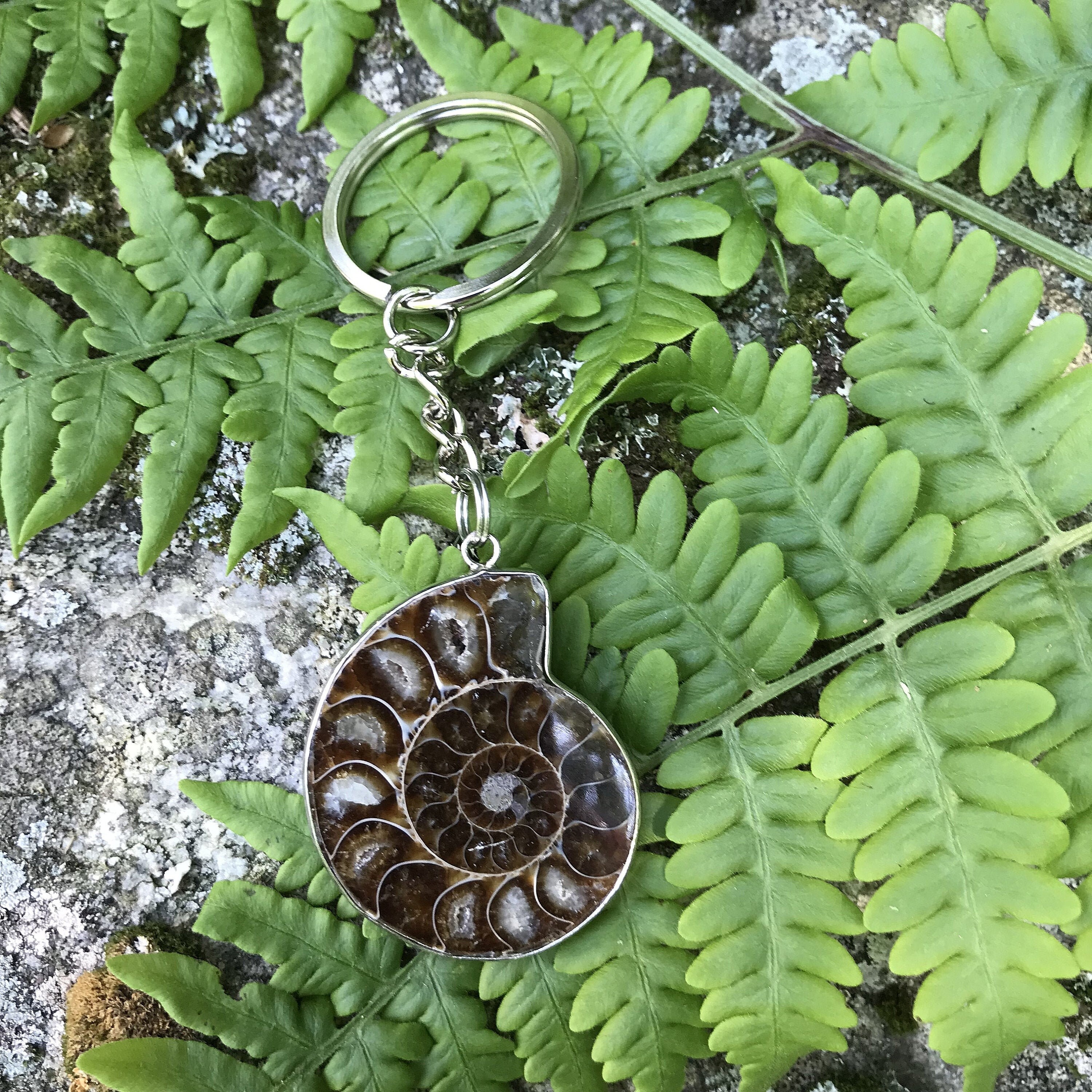 Natural Polished Ammonite Fossil Key Chain Healing Crystal Etsy