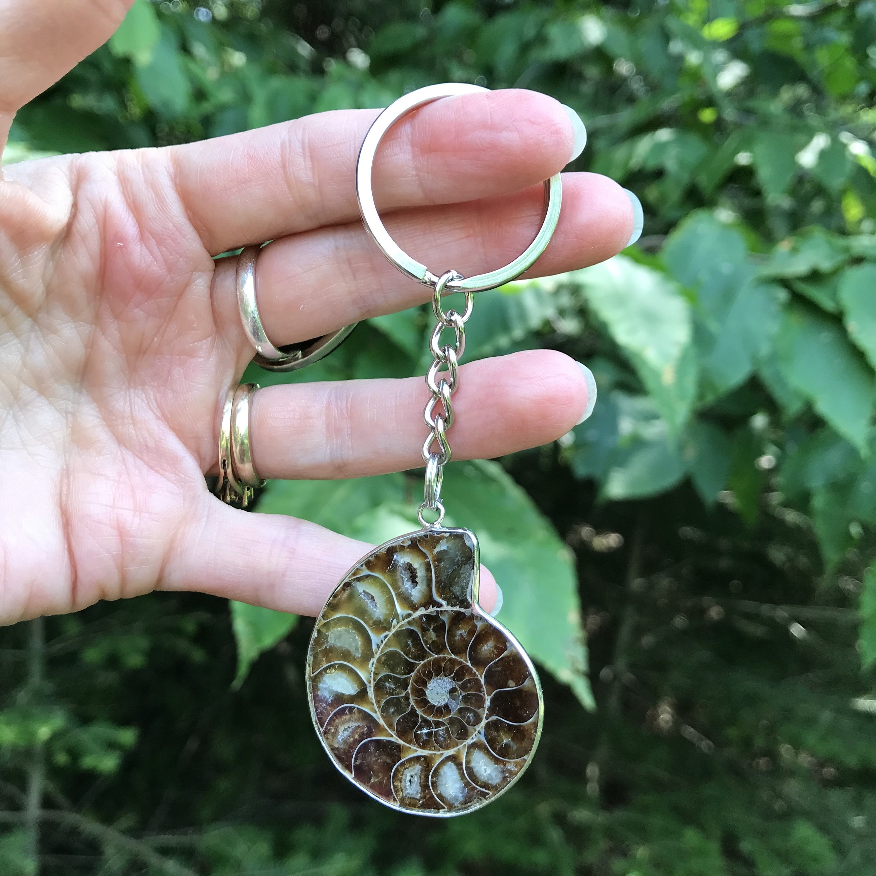 Natural Polished Ammonite Fossil Key Chain Healing Crystal Etsy