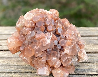 Aragonite Star Cluster  Raw  Healing Grounding 31346ET
