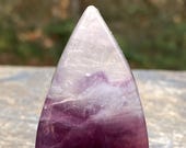 Articolo da questo negozio