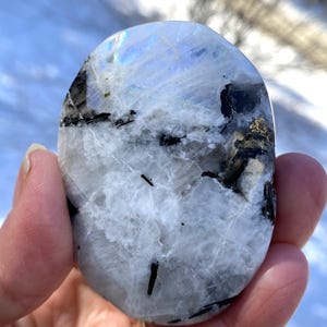 May include: A polished, oval-shaped moonstone with a white base, black inclusions, and iridescent blue and gold flashes. The stone is held in a hand, showcasing its natural beauty and unique patterns. A beautiful gemstone.