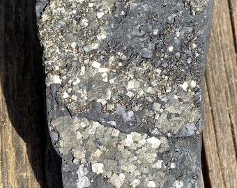 Pyrite on Shungite  Raw  FROM BRAZIL  Prosperity Meditation 31388ET