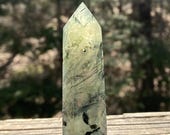 Articolo da questo negozio