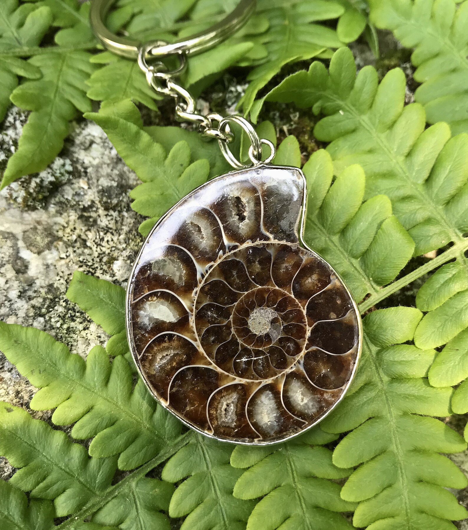 Natural Polished Ammonite Fossil Key Chain Healing Crystal Etsy