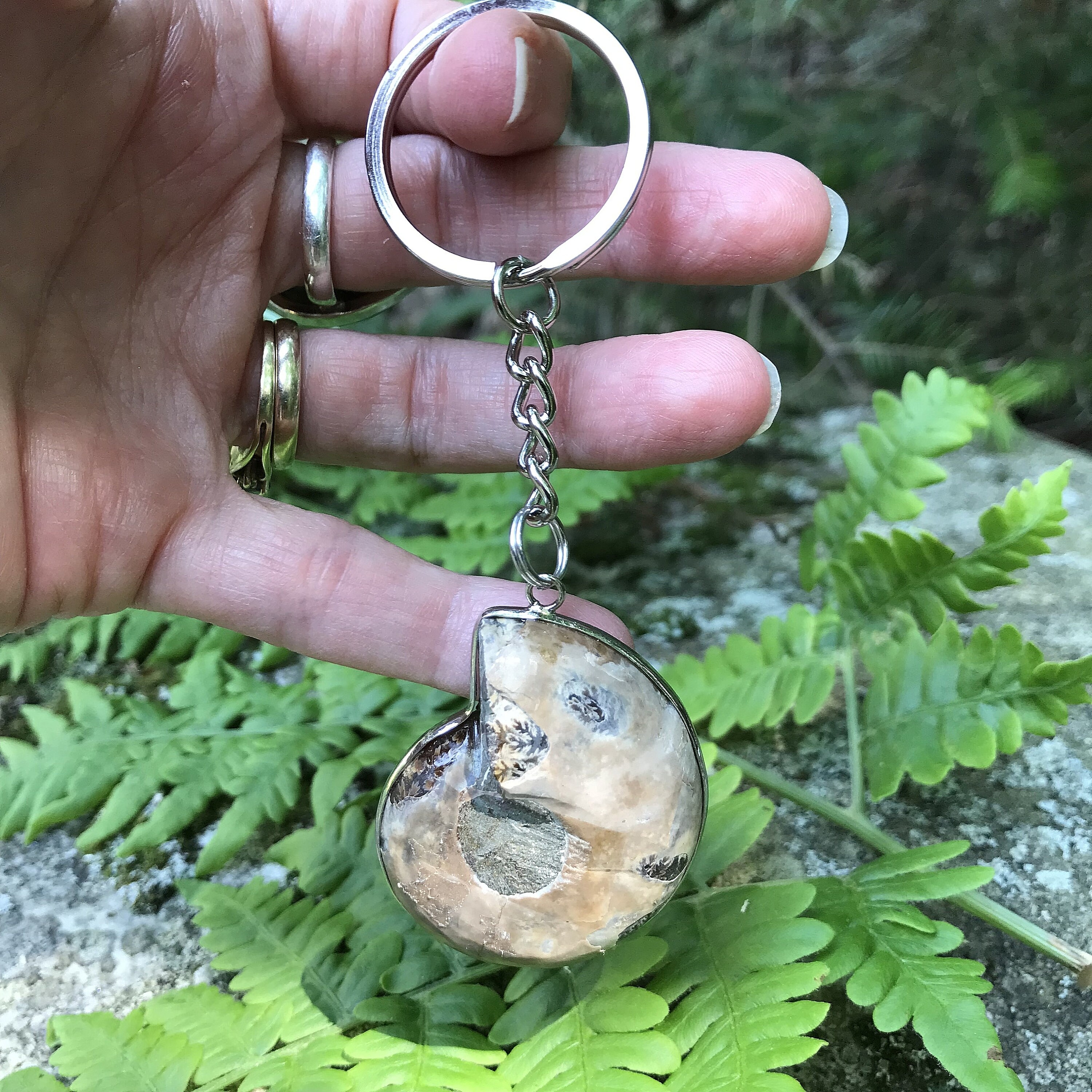 Natural Polished Ammonite Fossil Key Chain Healing Crystal Etsy