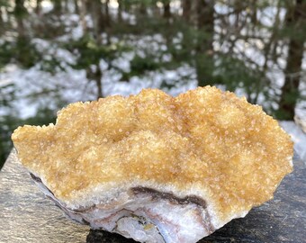 Pine Citrine Druzy Specimen Yellow  Prosperity Protection 31159ET