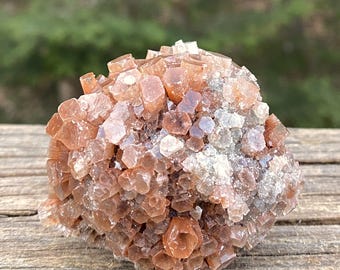 Aragonite Star Cluster  Raw  Healing Grounding 31348ET