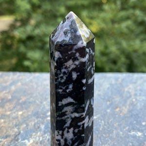 May include: A polished hexagonal crystal tower featuring a high-contrast pattern of deep black and mottled white mineral inclusions. The stone has a smooth, reflective surface and a sharply pointed apex, showcasing natural variations in its dark stone.