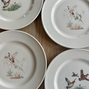 Vintage Bird Hunting Plates (set of 4)