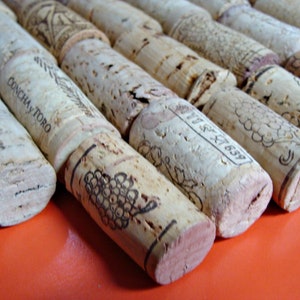 May include: A close-up of a pile of wine corks, some with the text "Concha y Toro" printed on them. The corks are arranged in a row on a bright orange surface.