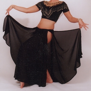 Custom Belly Dance Skirt