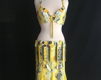 Belly Dance Costume