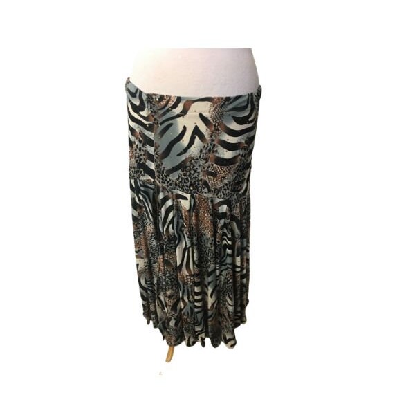 Belly Dance Skirt