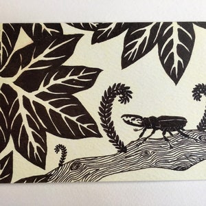 Greetings Card - Stag beetle