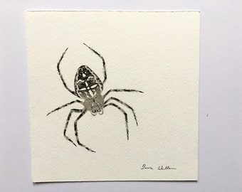 Garden spider original drawing