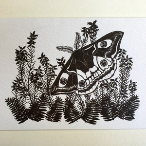 Wenskaart - Keizer Moth