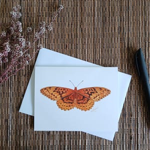 Blank Greeting Card - Endangered Australian Wildlife - Laced Fritillary Butterfly