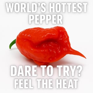Carolina Reaper Worlds Hottest Pepper Plant Seeds - Freshly Harvested Upon Order - Hot Sauce - Capsaicin - Capsicum - Heirloom Garden