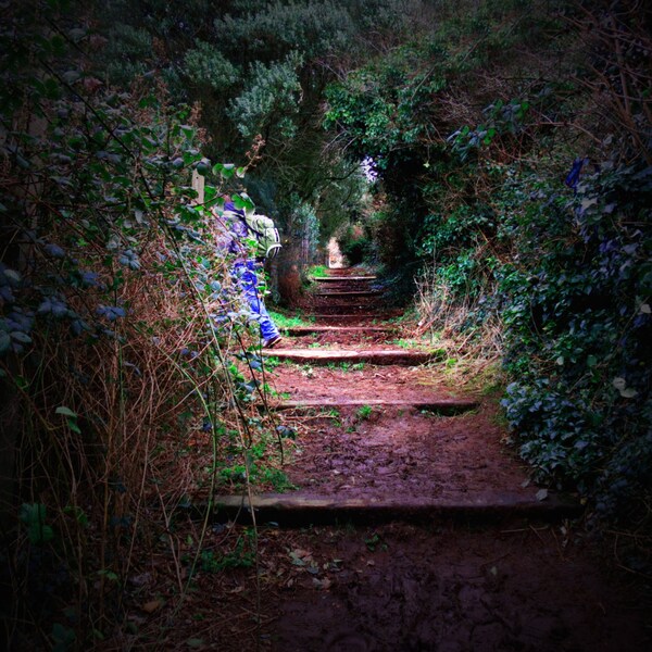 Secret Garden Irish Photography Fantasy Path Nature Green Purple Home Decor Print