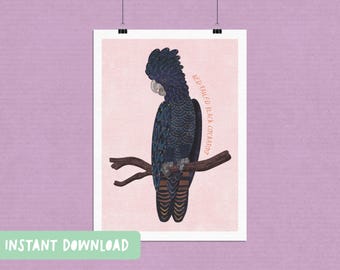 Red-Tailed Black Cockatoo Digital Print / A4 A5 PDFs Included / INSTANT DOWNLOAD