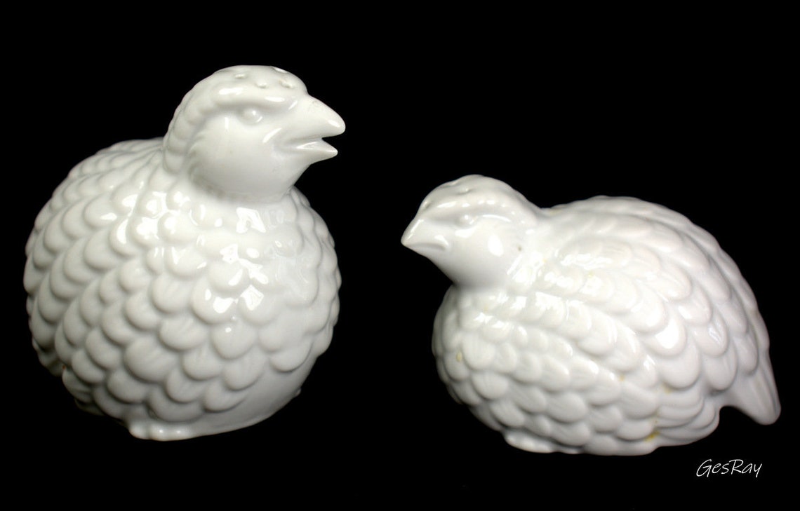 Porcelain Bird Salt and Pepper Shakers White Quail Salt Etsy