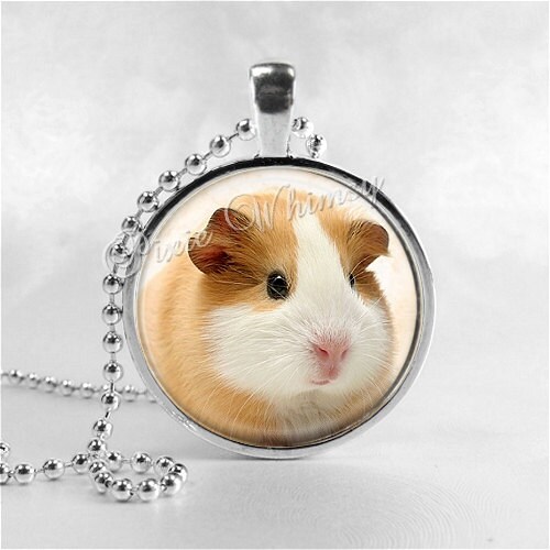 GUINEA PIG Necklace Guinea Pig Jewelry Guinea Pig Pendant Etsy