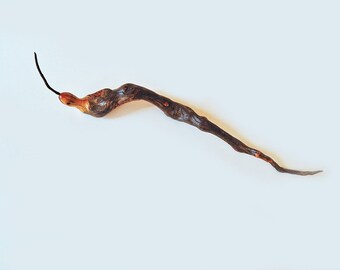 Wood Snake Eating Nature