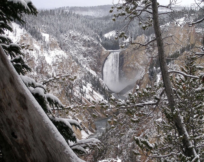 Lower Falls of the Grand Canyon of Yellowstone, late Fall