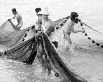 Bringing in the catch, Illocos Norte, Northern Luzon, 1978