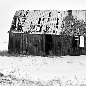 Idaho Homestead image 1