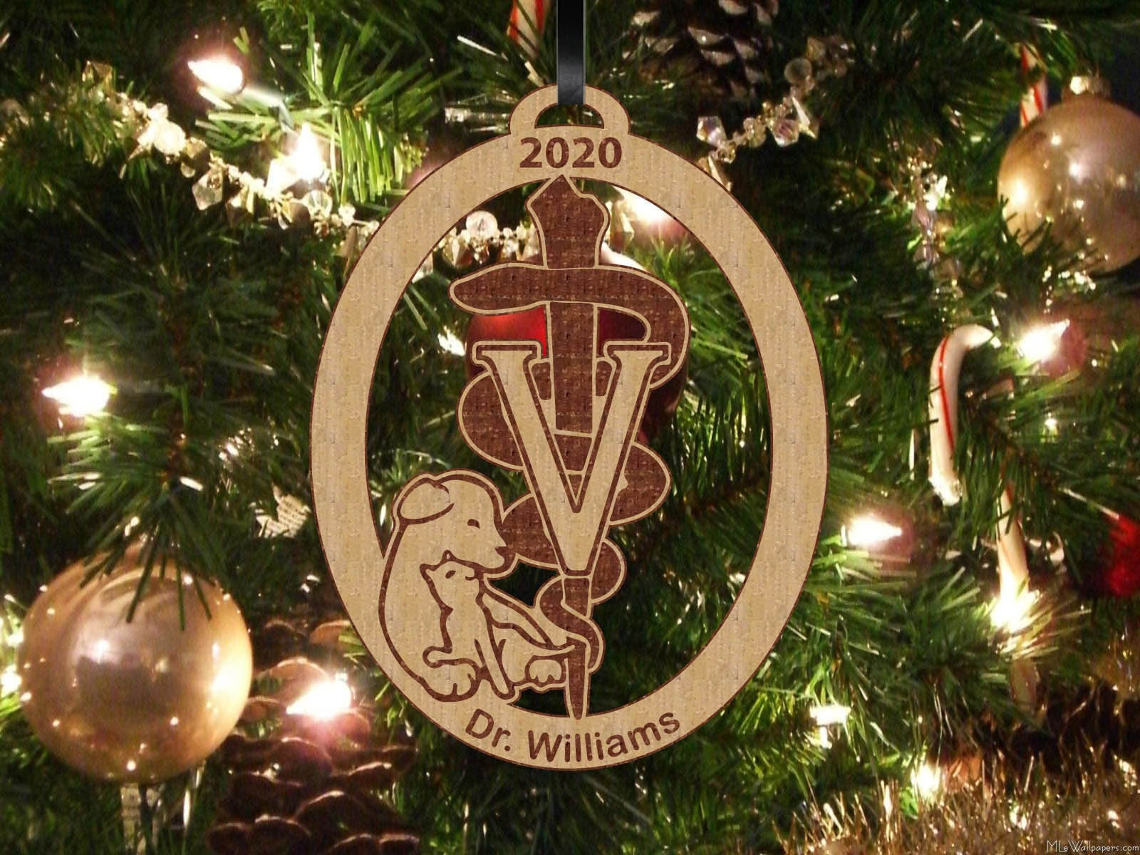 Vet Veterinarian Christmas Ornament Ornament Personalized Etsy