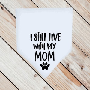 I Still Live With My Mom Dog Bandana: Small-Medium Pet Neckwear