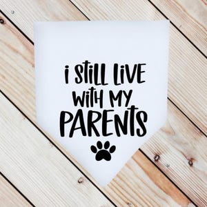 May include: White bandana with black text that reads "I still live with my parents" and a black paw print.
