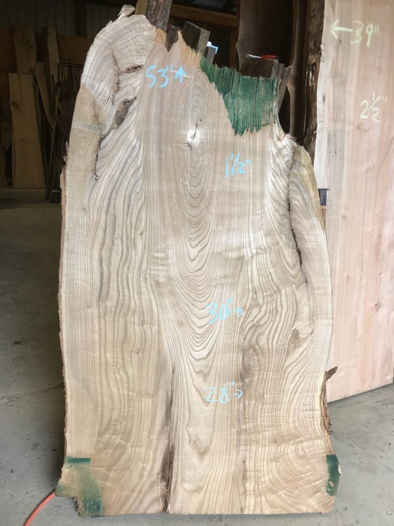 Large Live Edge Slabs all species BIG ASS Slabs 28 inches wide in a single slab image 6