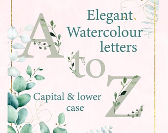 PNG Alfabeto eucalipto acquerello - maiuscolo e minuscolo - alfabeto floreale, uso commerciale consentito