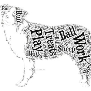 Border Collie Print Border Collie Wordle Collie Word Etsy