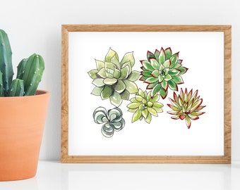 Succulents Watercolor Print - Gardener Gift - Succulent Watercolor Painting - Garden Artwork