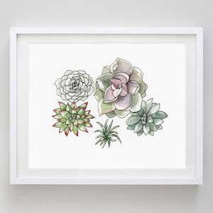 Succulents 2 Watercolor Art Print - Gardener Gift - Succulent Watercolor Painting - Garden Artwork - Succulent Decor - Succulent Artwork