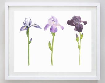 Iris Watercolor Print - Gardener Gift - Purple Iris Watercolor Painting - Garden Artwork - Spring - Easter - Home Decor - Springtime