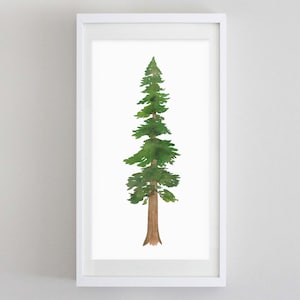 Redwood Tree Watercolor Art Print - Neutral Home Decor - Redwood Tree Painting - Nature Tree Artwork - Redwood Artwork - Northern California