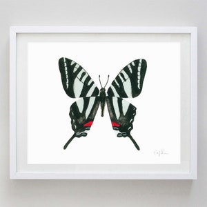 Zebra Swallowtail Butterfly Watercolor Art Print - Butterfly Decor - Butterfly Art - Nursery Art - Kids Room - Animal Painting - Butterflies