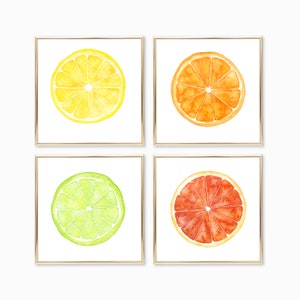 Citrus Watercolor Print Set of 4 - Square Art Prints - Kitchen Wall Decor - Orange Lime Grapefruit Lemon - Citrus Kitchen Food Painting