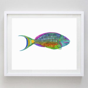 Tropical Fish Parrot Fish Watercolor Print - Sea Life Art -Tropical Fish Painting - Ocean Wall Decor