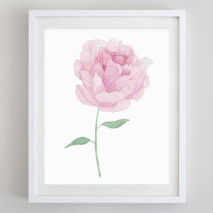 Pink Peony Watercolor Art Print