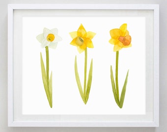 Daffodil Watercolor Print - Gardener Gift - Daffodils Watercolor Painting - Garden Artwork - Spring - Easter - Home Decor - Springtime