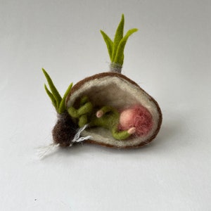 Flower bulb with a root-child ,Wet Felted,Waldorf-art,Nature-table,Season-table,Filzart,Seasonal nature tables,Flowerchild,Waldorf inspired