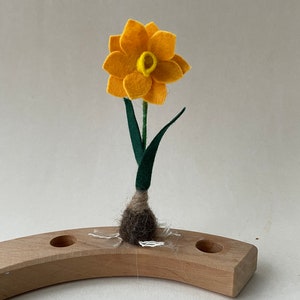 Jaar ring ornament,Narcis,Bloemenkind,Narcisflower,bloembolletje,Steker,Seizoentafel,Natuurtafel,vilt,Voorjaar,Waldorf-art.Filzart afbeelding 3