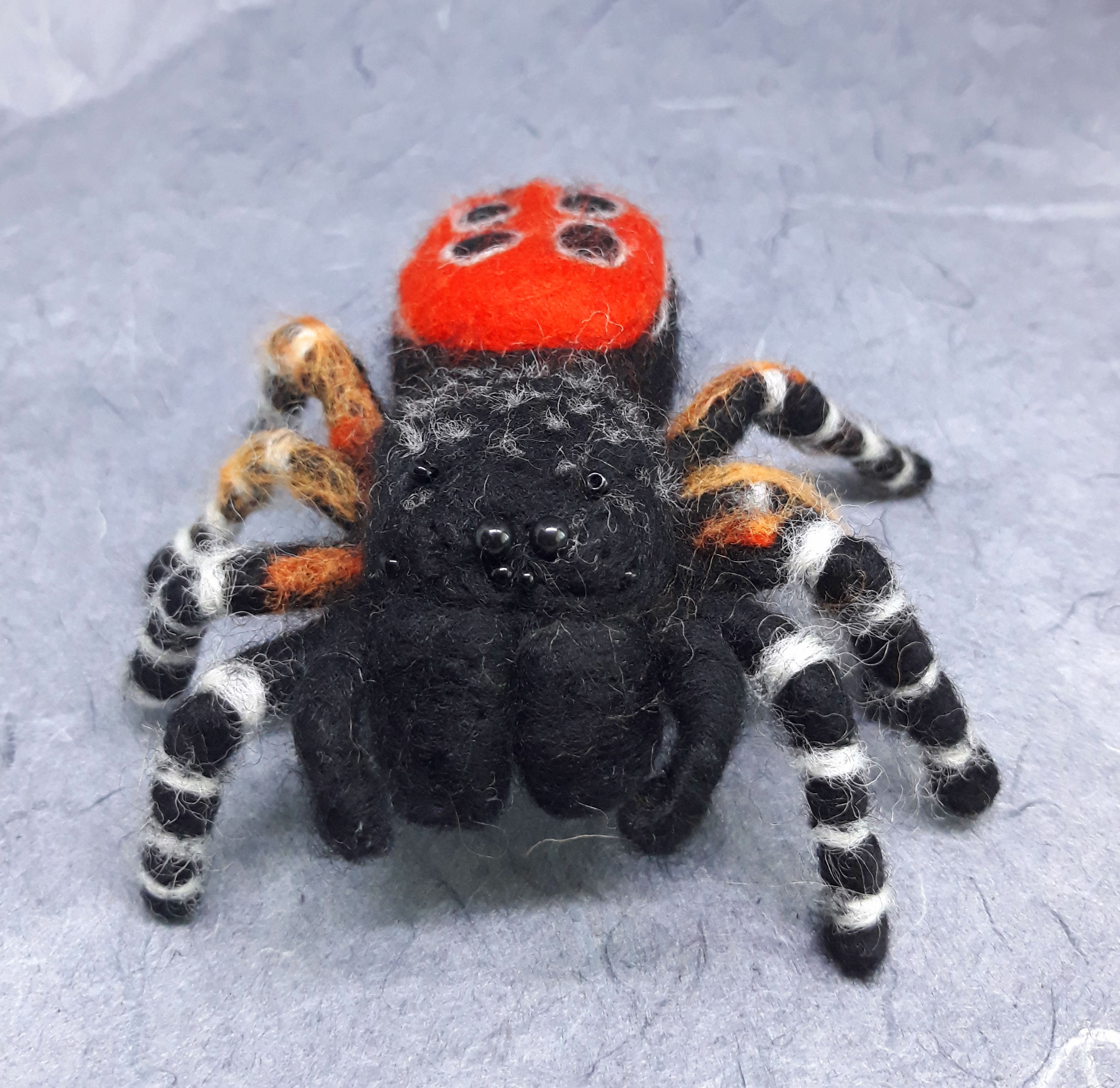  Cute Jumping Spider Plush Toy, Salticidae Springspinnen Spider  Stuffed Animals Soft Spider Plushie Dolls Birthday Gifts for Kids Fans  Adults Children : Toys & Games